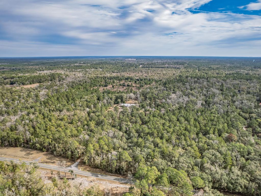 Photo of XXX Lawhon Mill Rd Lane, Crawfordville, FL 32327 (MLS # 394541)