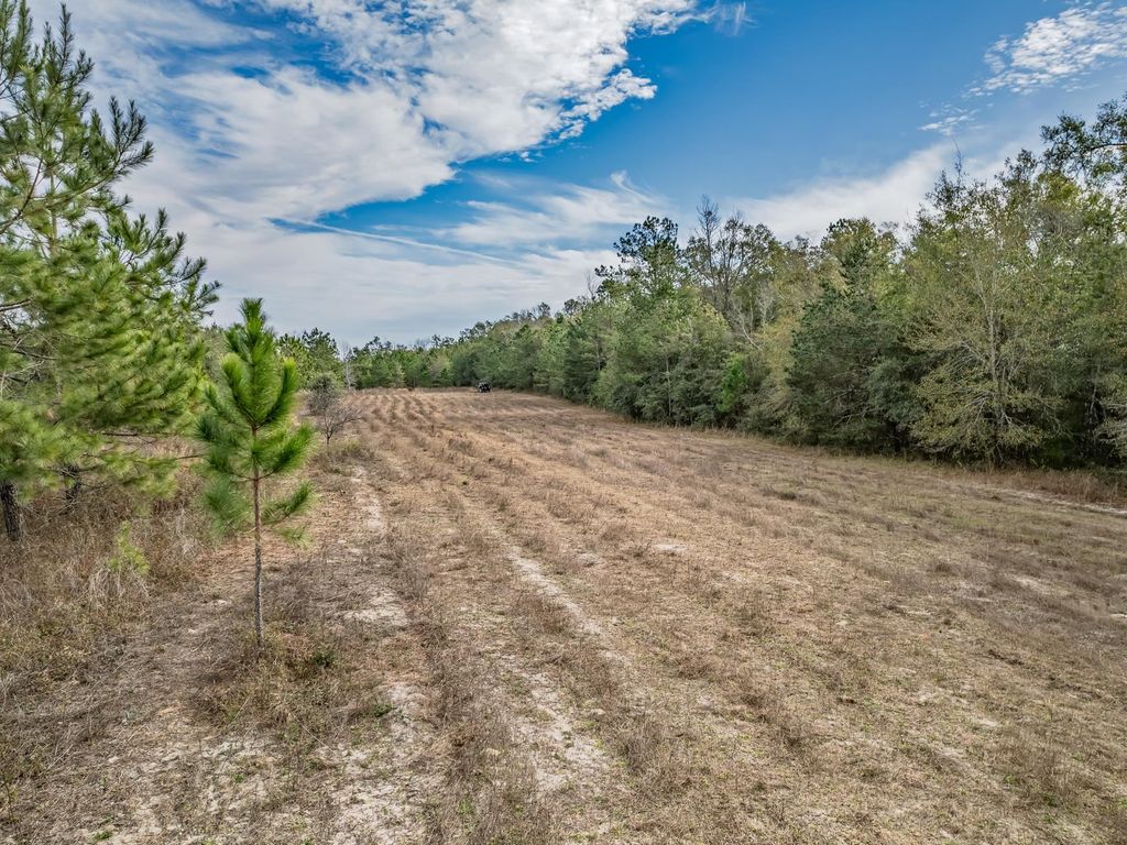 Photo of XXX Lawhon Mill Rd Lane, Crawfordville, FL 32327 (MLS # 394541)