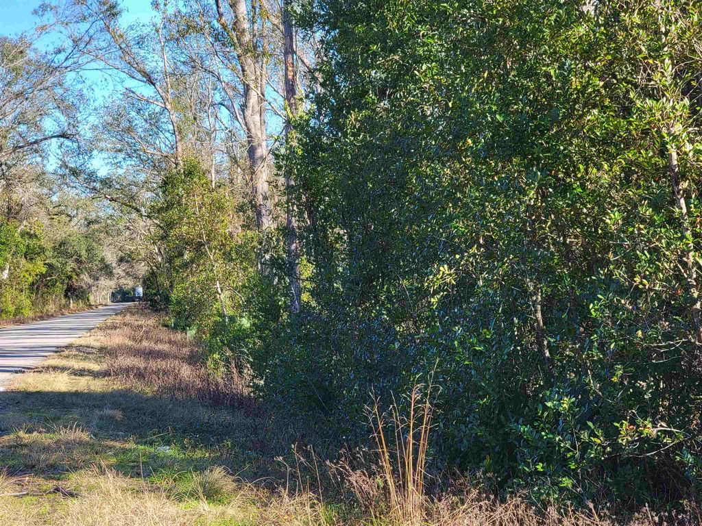 Photo of 00 Pharo Morgan Road, Perry, FL 32347 (MLS # 397949)