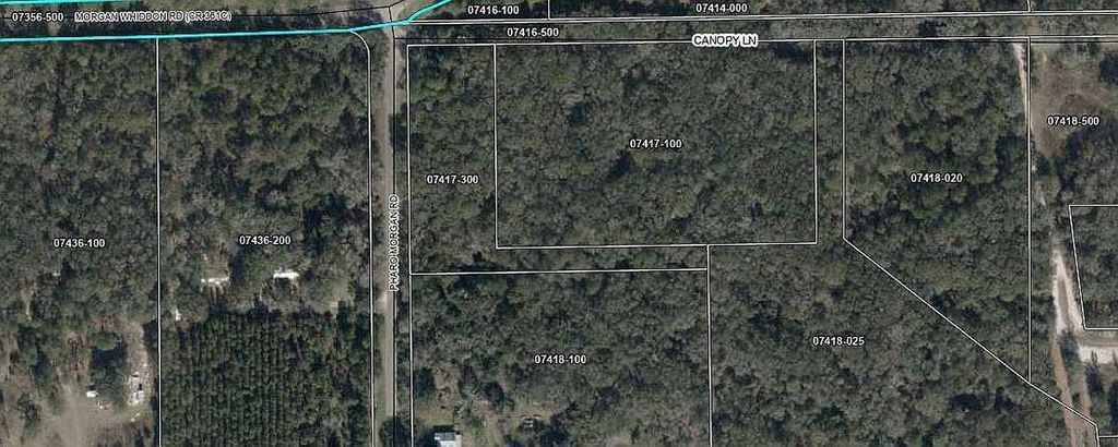 Photo of 00 Pharo Morgan Road, Perry, FL 32347 (MLS # 397949)