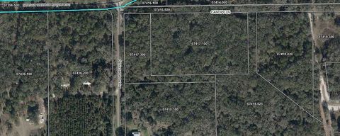 Photo of 00 Pharo Morgan Road, Perry, FL 32347 (MLS # 397949)