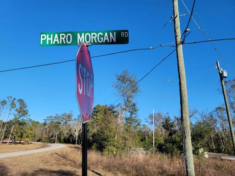 Tiny photo for 00 Pharo Morgan Road, Perry, FL 32347 (MLS # 397949)