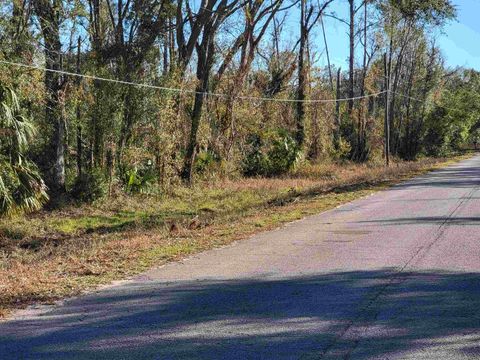 Tiny photo for 00 Pharo Morgan Road, Perry, FL 32347 (MLS # 397949)