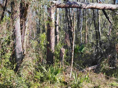 Tiny photo for 00 Pharo Morgan Road, Perry, FL 32347 (MLS # 397949)