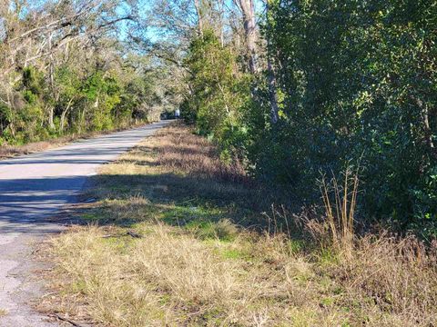 Tiny photo for 00 Pharo Morgan Road, Perry, FL 32347 (MLS # 397949)