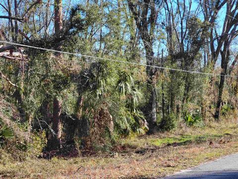 Tiny photo for 00 Pharo Morgan Road, Perry, FL 32347 (MLS # 397949)