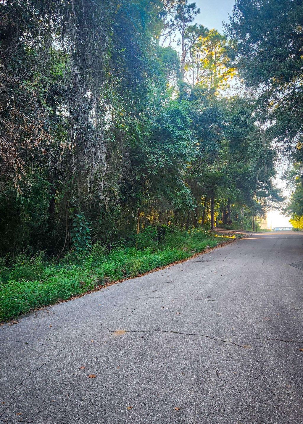 Photo of Junwin Court, Tallahassee, FL 32308 (MLS # 391095)
