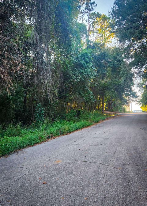 Tiny photo for Junwin Court, Tallahassee, FL 32308 (MLS # 391095)