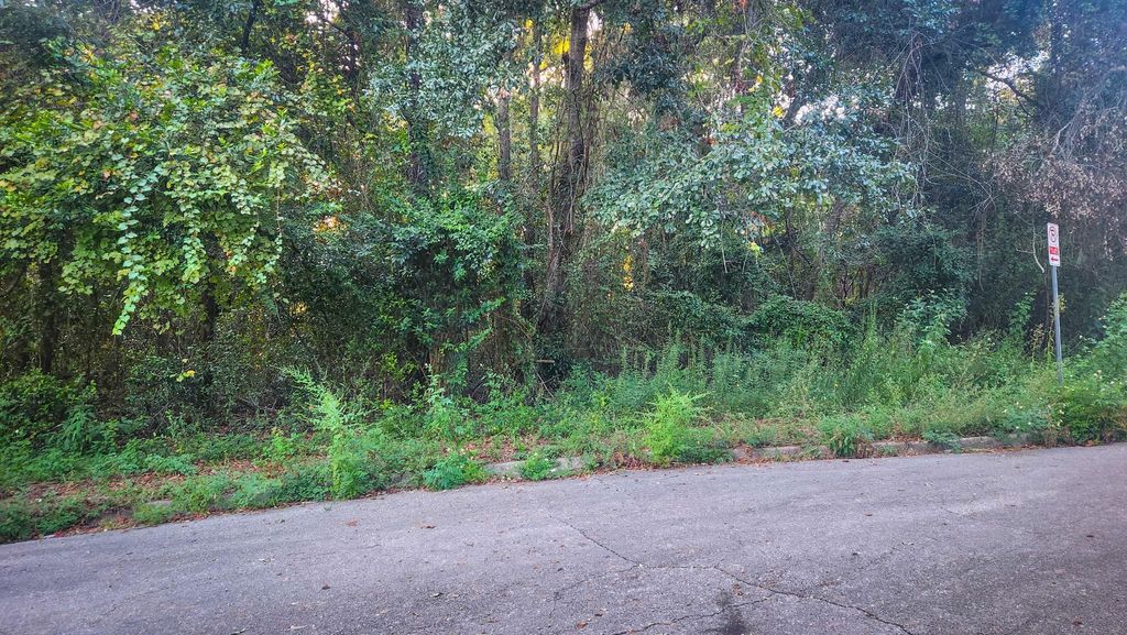 Photo of Junwin Court, Tallahassee, FL 32308 (MLS # 391095)