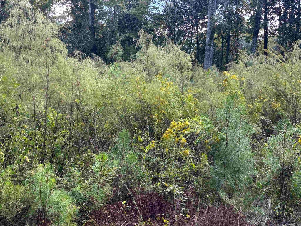 Photo of xxxx Sweetwater Lane, Tallahassee, FL 32311 (MLS # 392319)