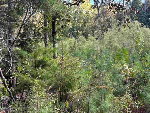 Tiny photo for xxxx Sweetwater Lane, Tallahassee, FL 32311 (MLS # 392319)
