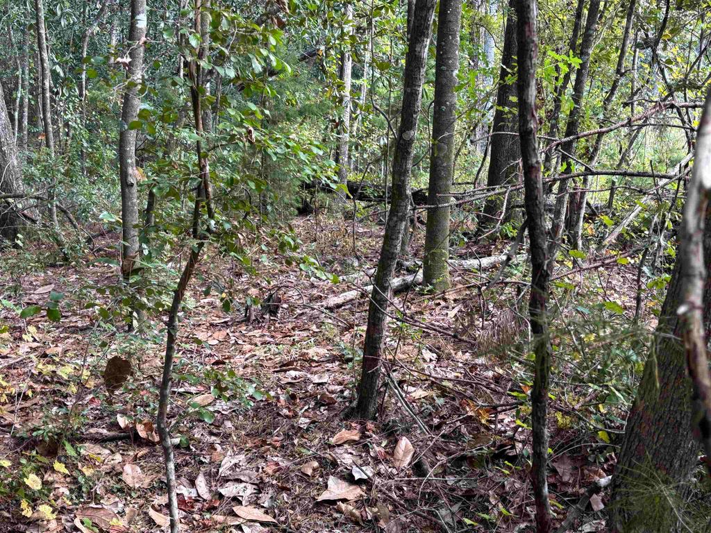 Photo of xxxx Sweetwater Lane, Tallahassee, FL 32311 (MLS # 392319)