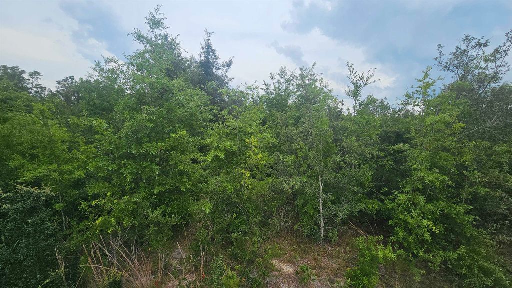 Photo of 00 NE Beulah Church Road, Lee, FL 32059 (MLS # 386534)