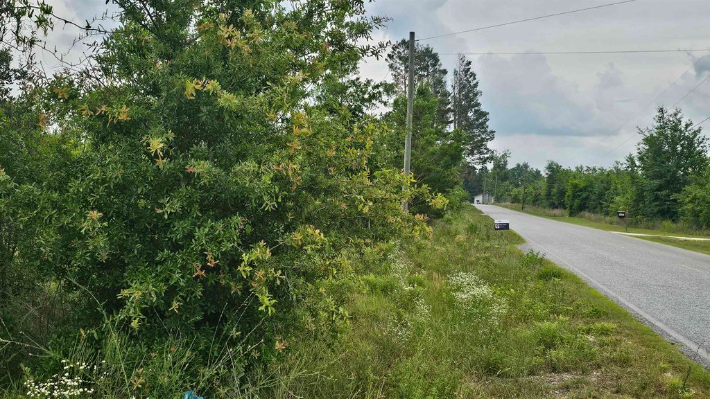 Photo of 00 NE Beulah Church Road, Lee, FL 32059 (MLS # 386534)