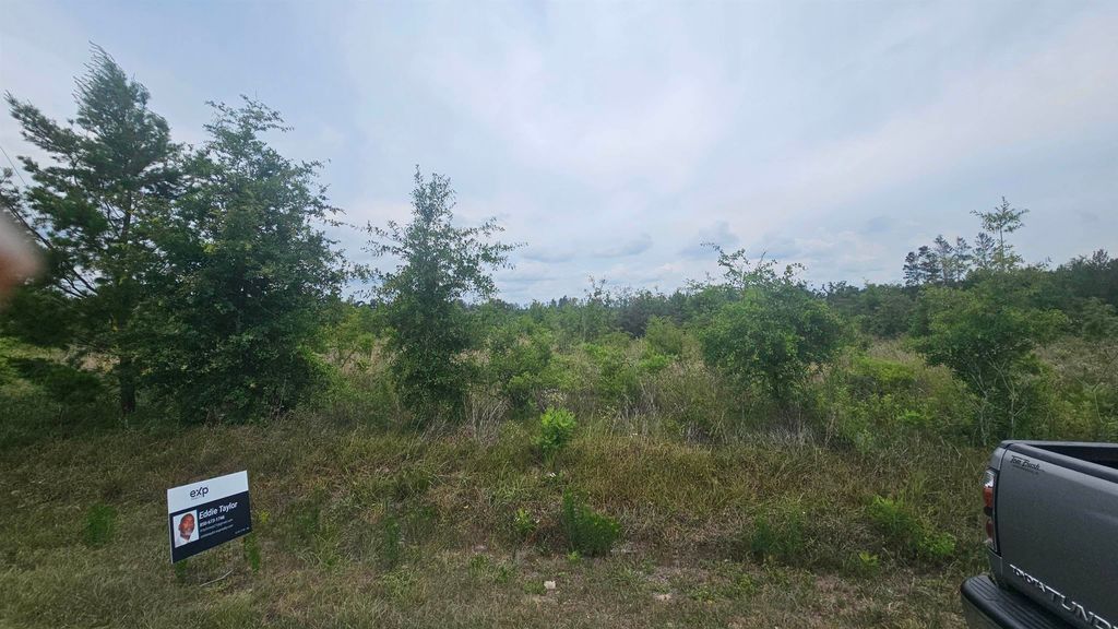 Photo of 00 NE Beulah Church Road, Lee, FL 32059 (MLS # 386534)