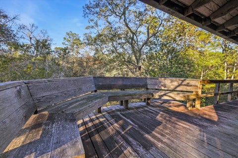 Tiny photo for 14 Lizard Lane, Sopchoppy, FL 32358 (MLS # 402006)