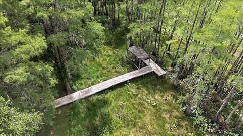 Photo of 7737 Deepwood Trail, Tallahassee, FL 32317 (MLS # 395798)