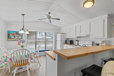 Tiny photo for 1707 NE CYPRESS Street, Steinhatchee, FL 32359 (MLS # 398057)