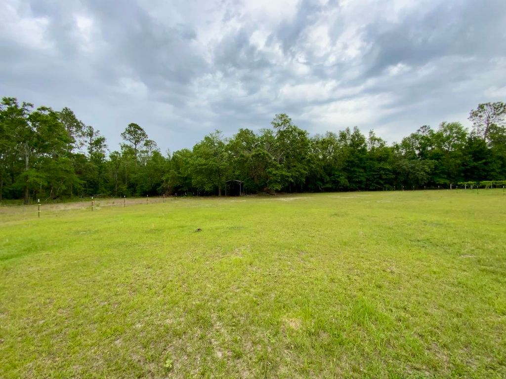 Photo of Vacant NE Bellville Road, Pinetta, FL 32350 (MLS # 391104)