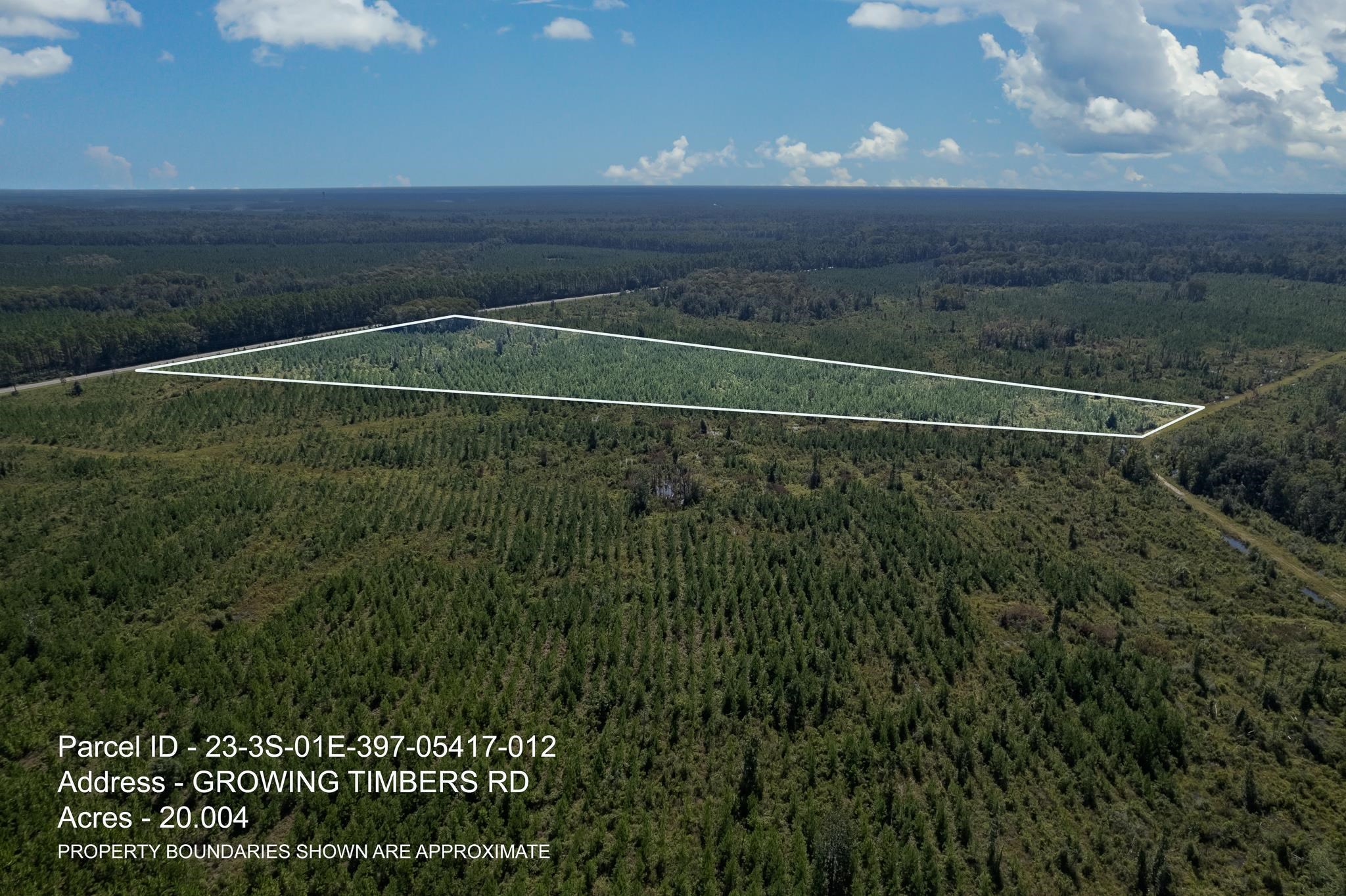 Lot 12 Growing Timbers Road