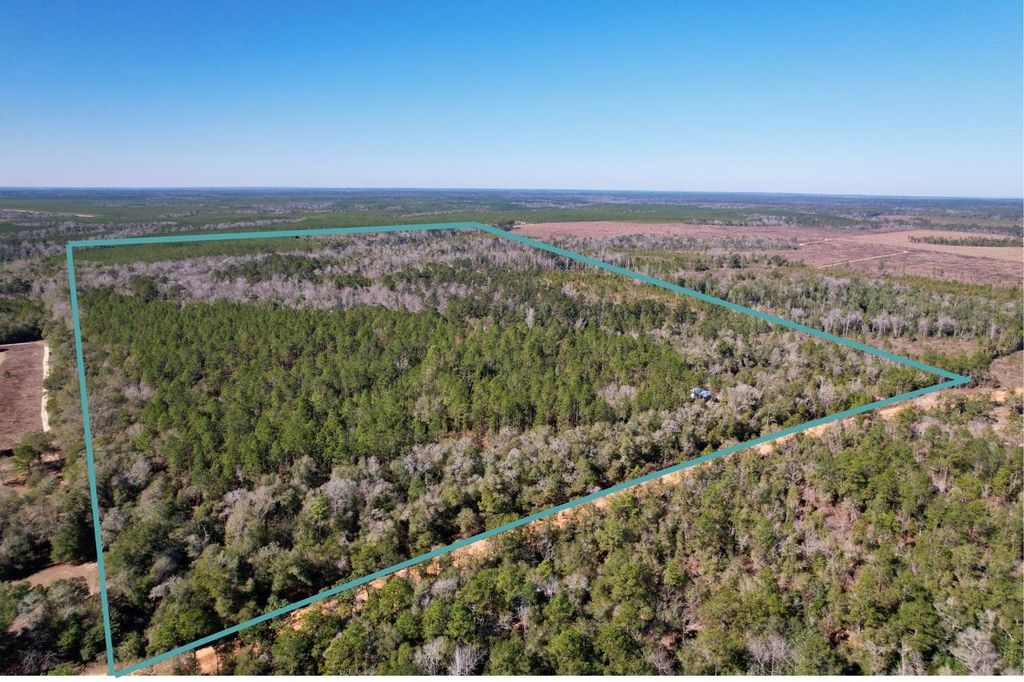 Photo of 910 BOYKIN Road, Quincy, FL 32351 (MLS # 395383)