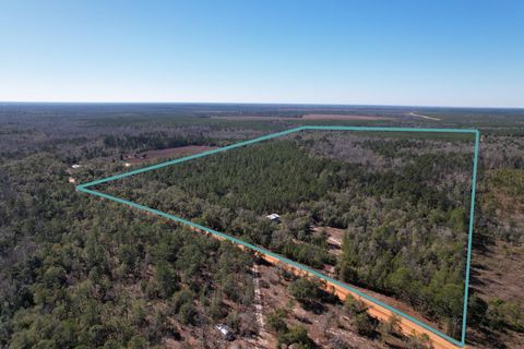 910 BOYKIN Road Quincy FL 32351