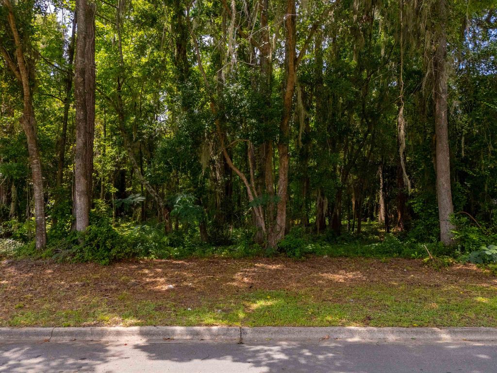 Photo of 1333 Rachel Lane, Tallahassee, FL 32308 (MLS # 394354)