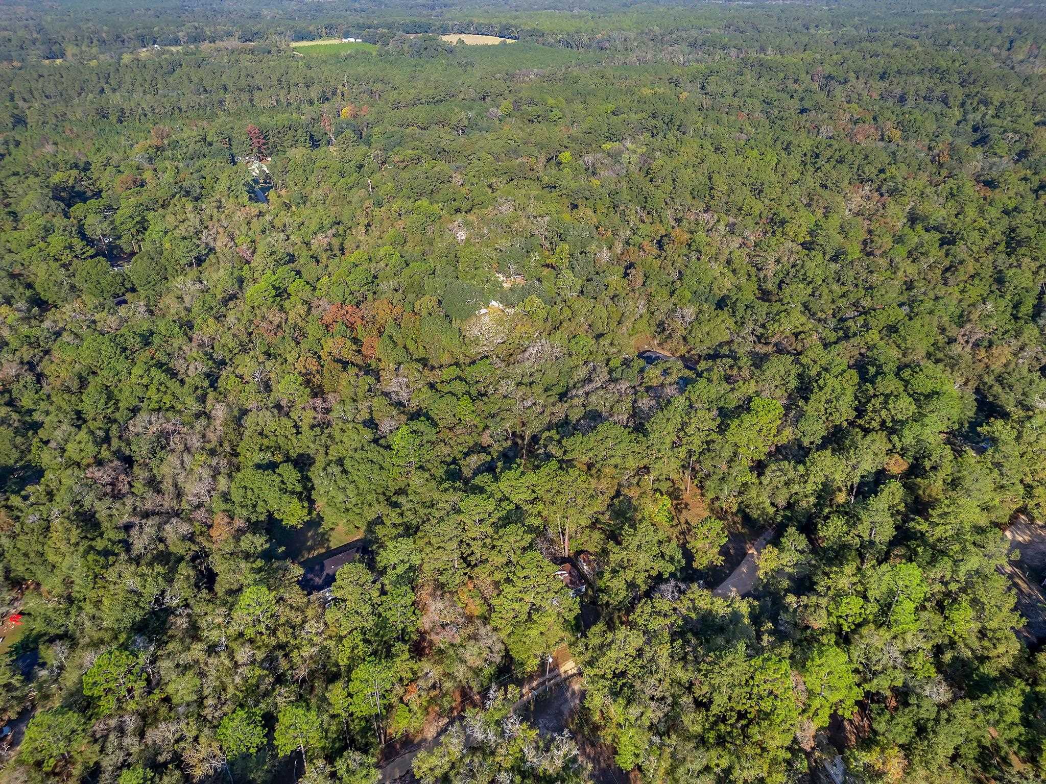 xxxx Forest Run Drive