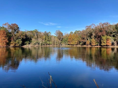 Tiny photo for 115 Westwood Drive, Tallahassee, FL 32304 (MLS # 401431)