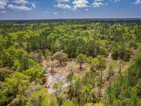 Tiny photo for xxx Tucker Springs Road, Sopchoppy, FL 32358 (MLS # 398122)