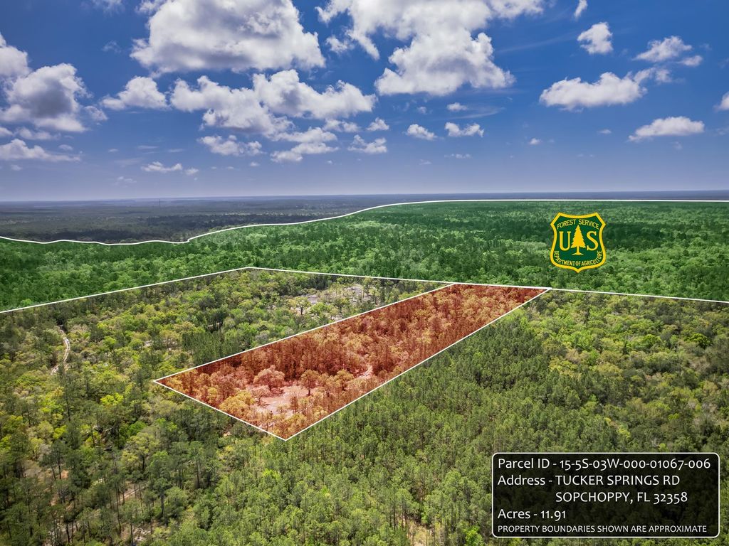 Photo of xxx Tucker Springs Road, Sopchoppy, FL 32358 (MLS # 398122)