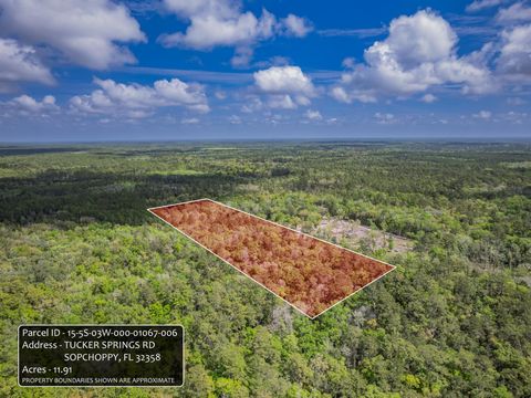 Tiny photo for xxx Tucker Springs Road, Sopchoppy, FL 32358 (MLS # 398122)