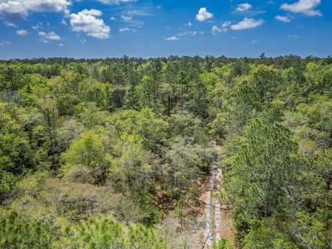 Tiny photo for xxx Tucker Springs Road, Sopchoppy, FL 32358 (MLS # 398122)