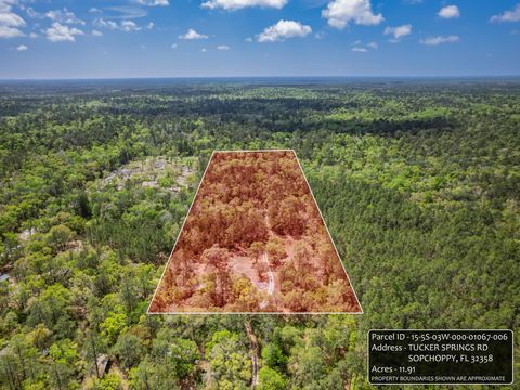 Tiny photo for xxx Tucker Springs Road, Sopchoppy, FL 32358 (MLS # 398122)