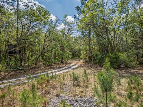 Tiny photo for xxx Tucker Springs Road, Sopchoppy, FL 32358 (MLS # 398122)