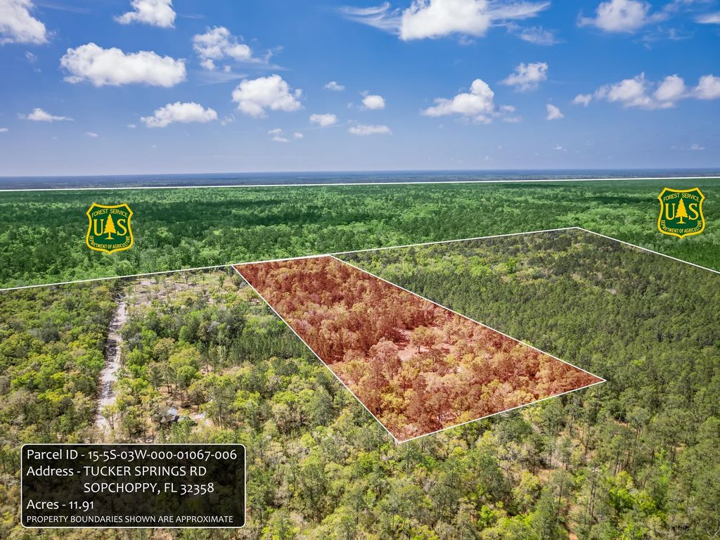 Photo of xxx Tucker Springs Road, Sopchoppy, FL 32358 (MLS # 398122)