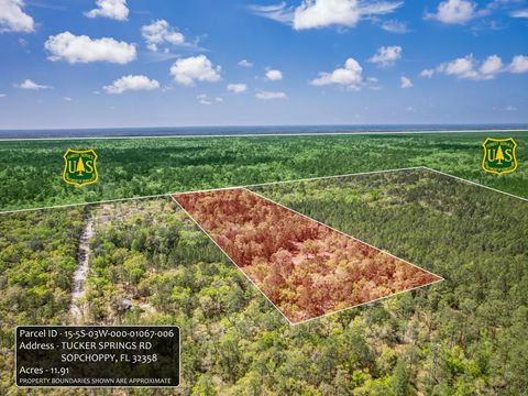 Photo of xxx Tucker Springs Road, Sopchoppy, FL 32358 (MLS # 398122)