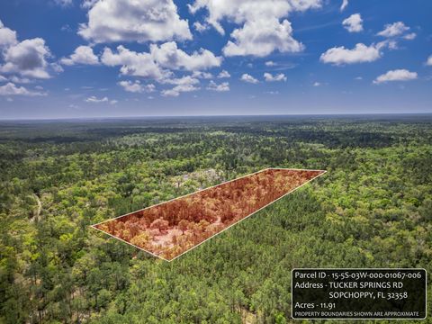Tiny photo for xxx Tucker Springs Road, Sopchoppy, FL 32358 (MLS # 398122)
