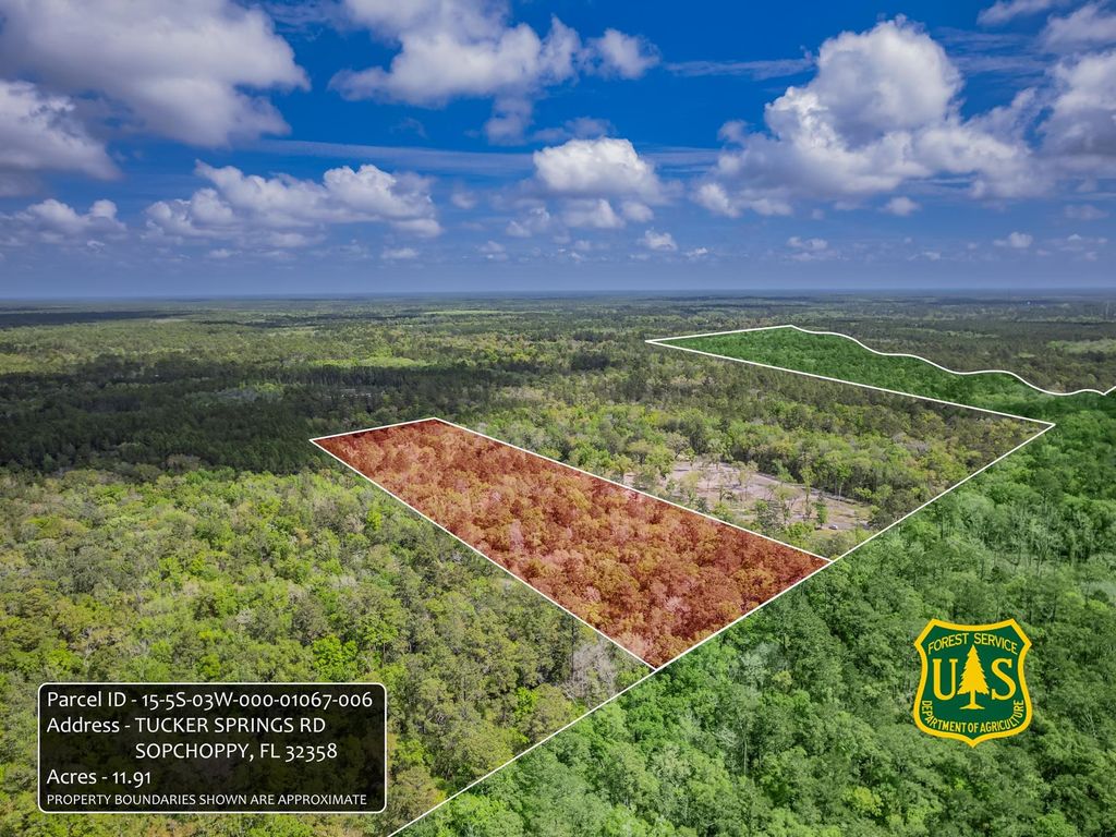 Photo of xxx Tucker Springs Road, Sopchoppy, FL 32358 (MLS # 398122)