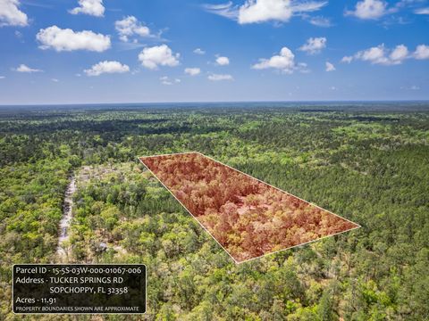 Tiny photo for xxx Tucker Springs Road, Sopchoppy, FL 32358 (MLS # 398122)