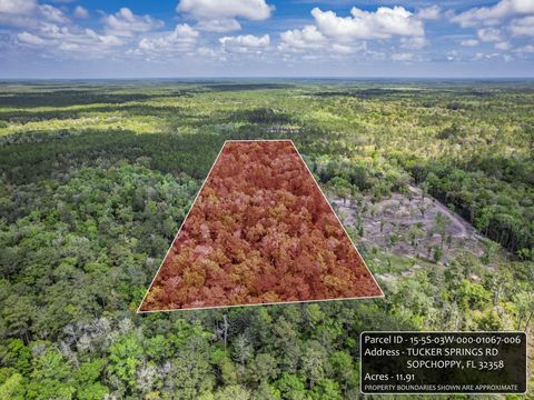 Tiny photo for xxx Tucker Springs Road, Sopchoppy, FL 32358 (MLS # 398122)