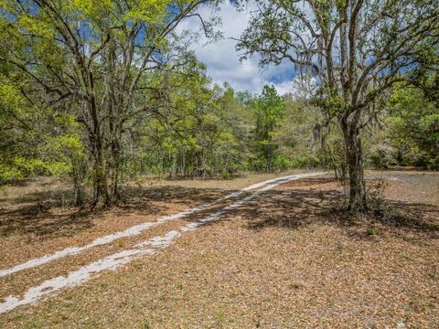 Tiny photo for xxx Tucker Springs Road, Sopchoppy, FL 32358 (MLS # 398122)