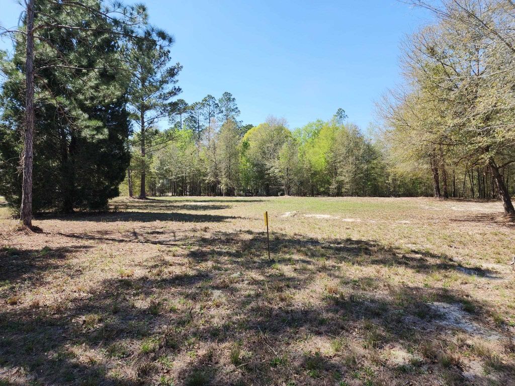 Photo of 000 NW 48th Way, Jennings, FL 32053 (MLS # 400925)