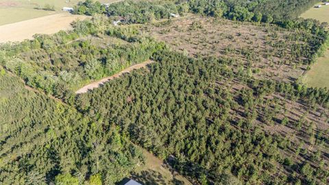 Tiny photo for 49 WILL WHITE Road, Quincy, FL 32351 (MLS # 399367)