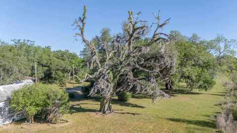 Tiny photo for 49 WILL WHITE Road, Quincy, FL 32351 (MLS # 399367)