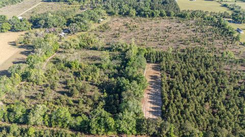 Tiny photo for 49 WILL WHITE Road, Quincy, FL 32351 (MLS # 399367)