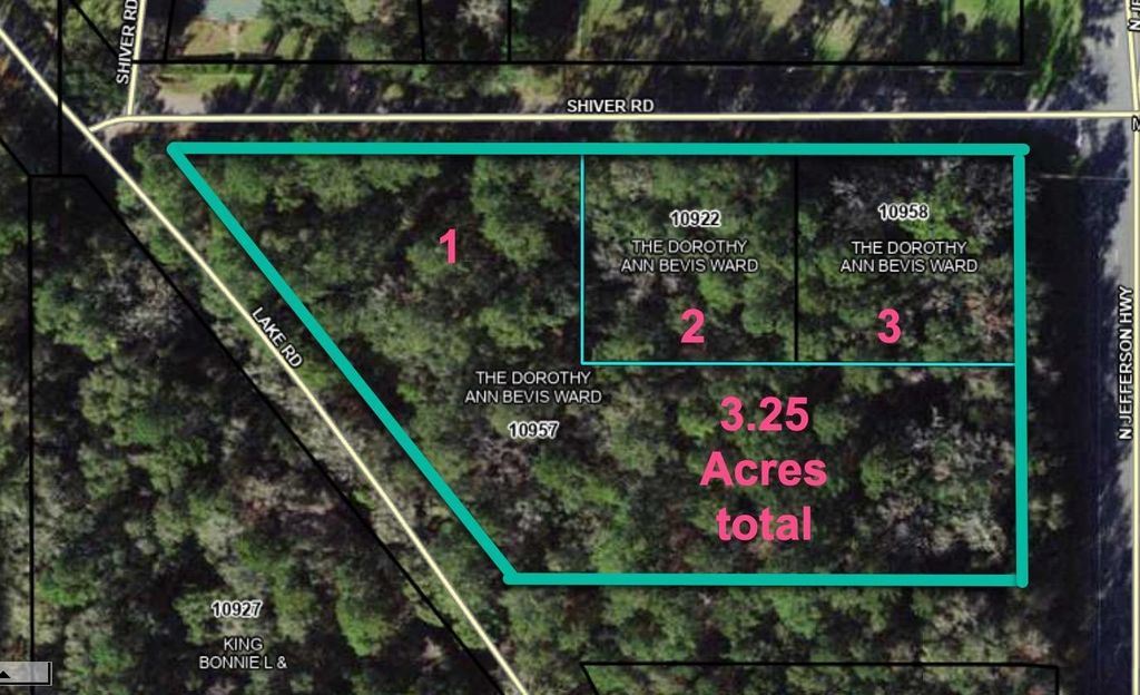 Photo of XX SHIVER Road, Monticello, FL 32345 (MLS # 367916)