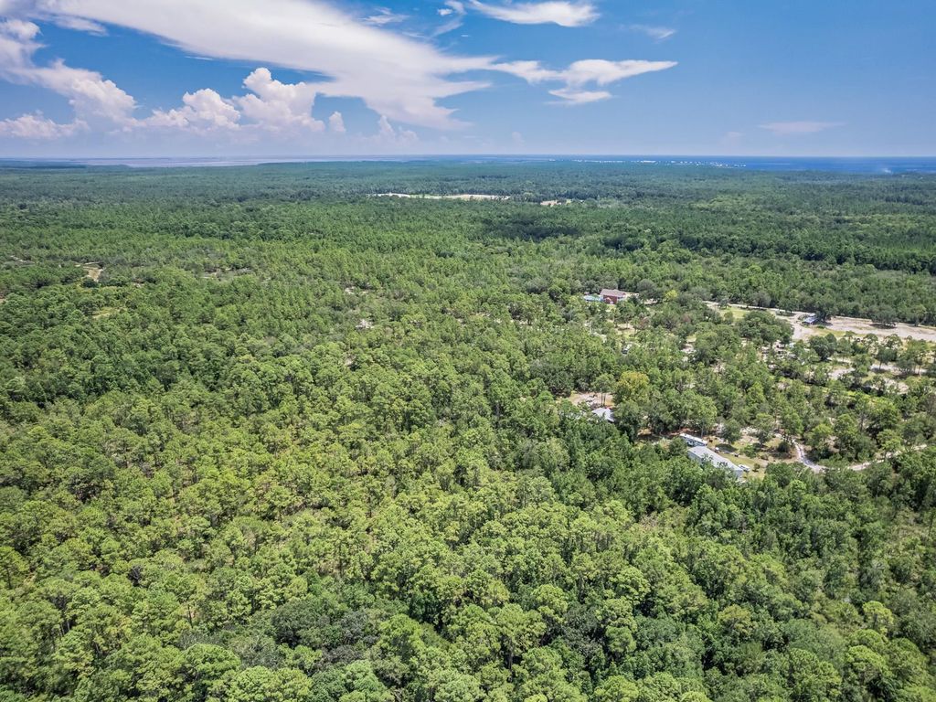 Photo of 411 Edgar Poole Road, Crawfordville, FL 32327 (MLS # 397400)