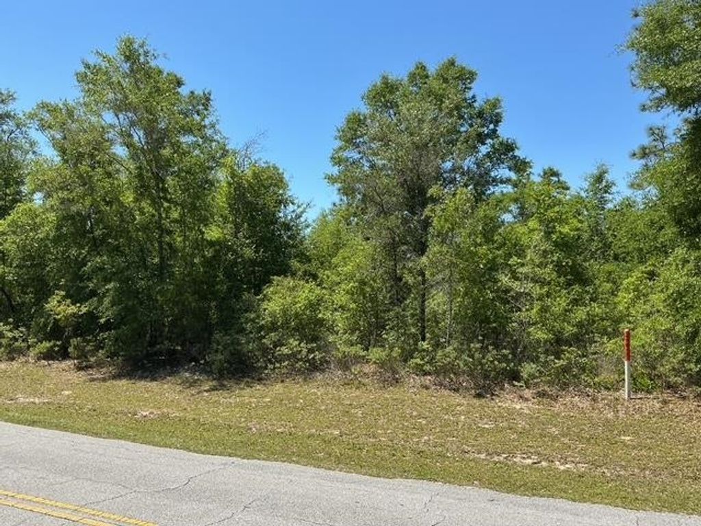 Photo of Country Club Boulevard, Chipley, FL 32428 (MLS # 399907)