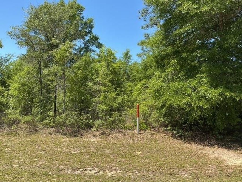 Photo of Country Club Boulevard, Chipley, FL 32428 (MLS # 399907)